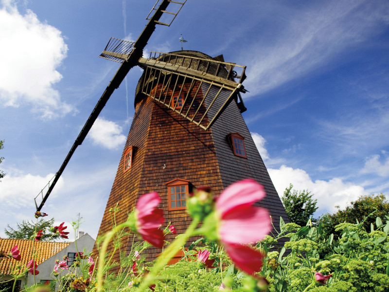Alte Mühle in einer Blumenwiese