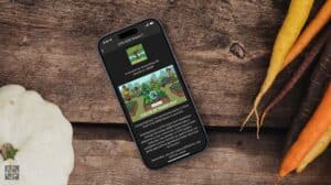 Geocaching Souvenirs 2026